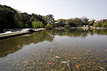 徳川園