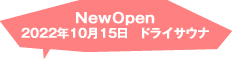 ドライサウナオープン