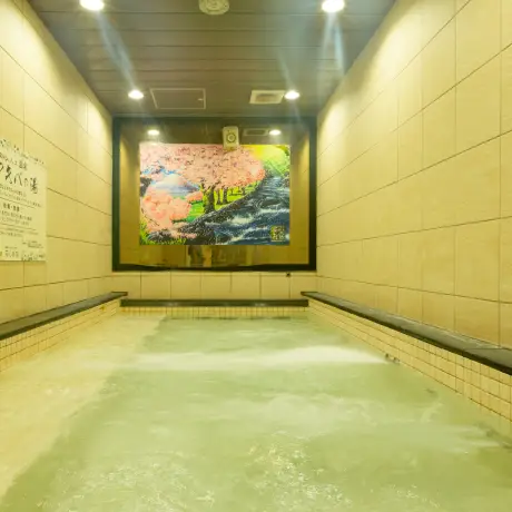 日帰りプラン