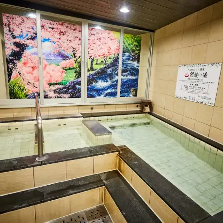 日帰りプラン