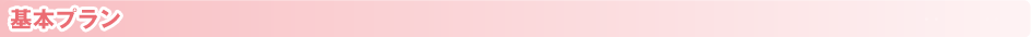 基本プラン